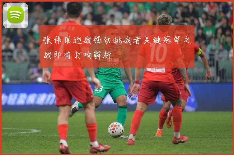 张伟丽迎战强劲挑战者关键冠军之战即将打响解析