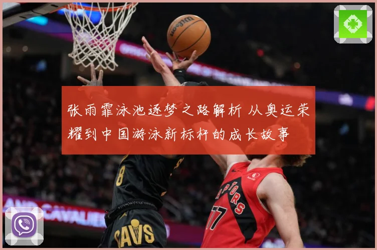 张雨霏泳池逐梦之路解析 从奥运荣耀到中国游泳新标杆的成长故事