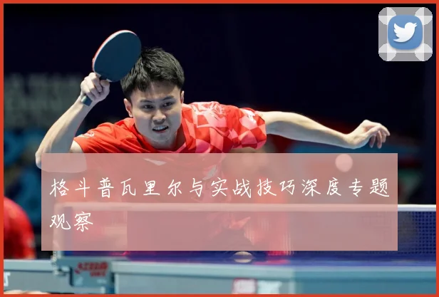 格斗普瓦里尔与实战技巧深度专题观察
