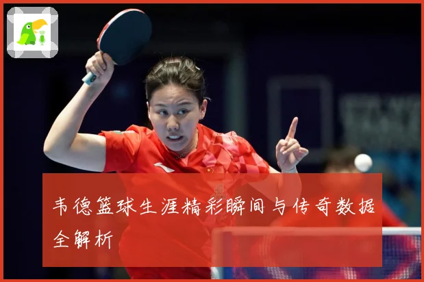韦德篮球生涯精彩瞬间与传奇数据全解析