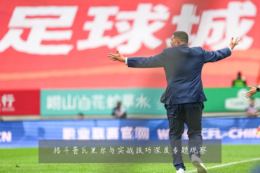 格斗普瓦里尔与实战技巧深度专题观察