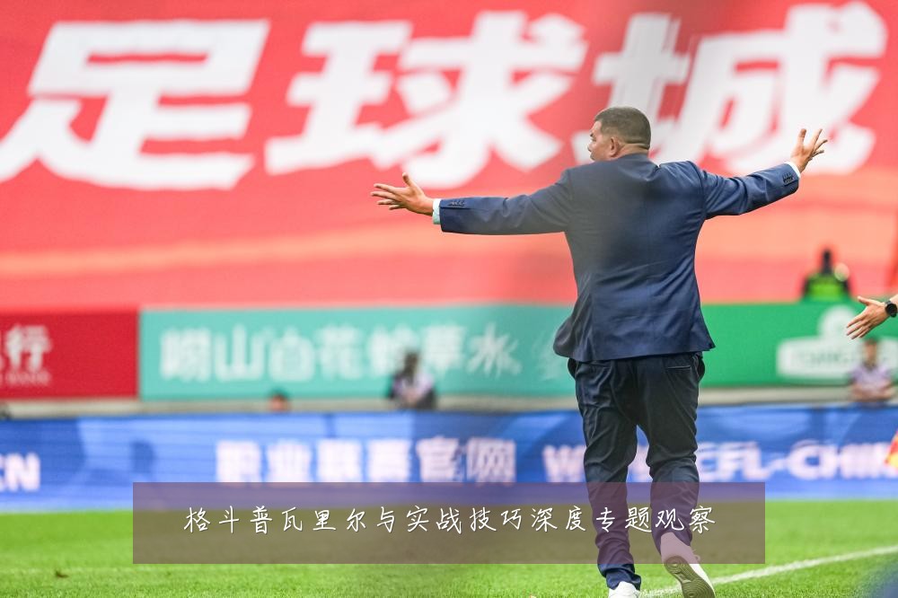 格斗普瓦里尔与实战技巧深度专题观察