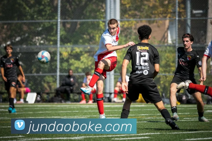 开云官网APP 封面图